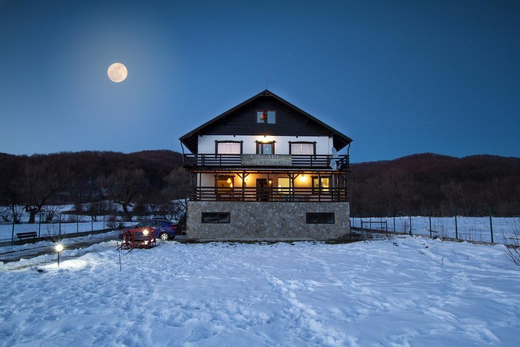 Casa Georgescu Rasnov Exterior foto
